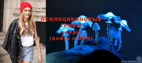 альфа пвп Медногорск